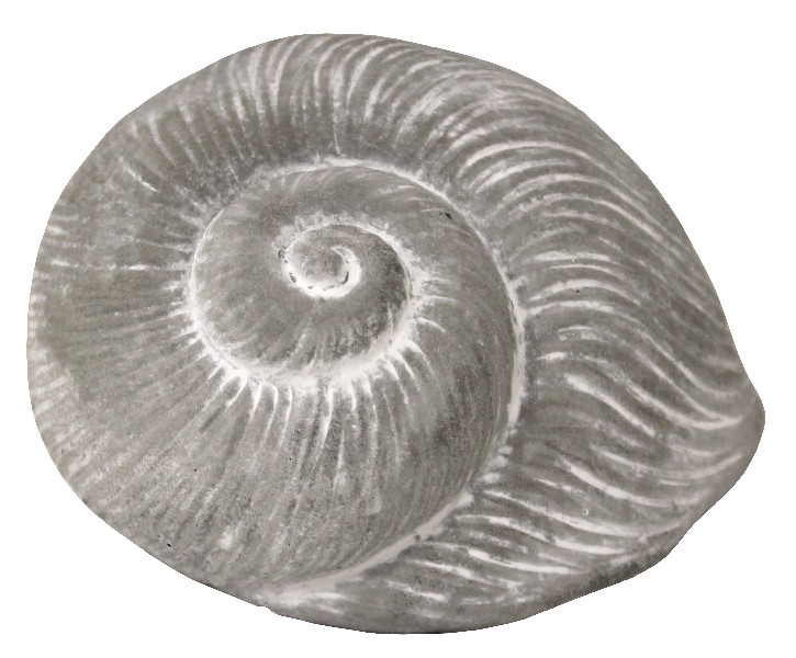 MUSCHEL, BETON,11,5CM
