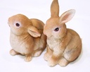 HASE POLY STEHEND  2SORT.
