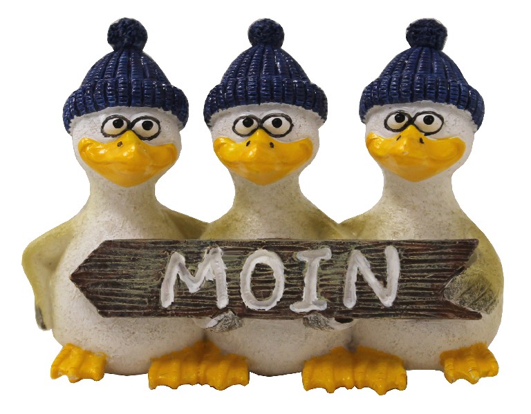 MÖWE,(3)MAGN.7,5CM,MOIN