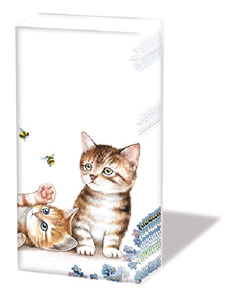 TATÜ,10ER,CATS AND BEES