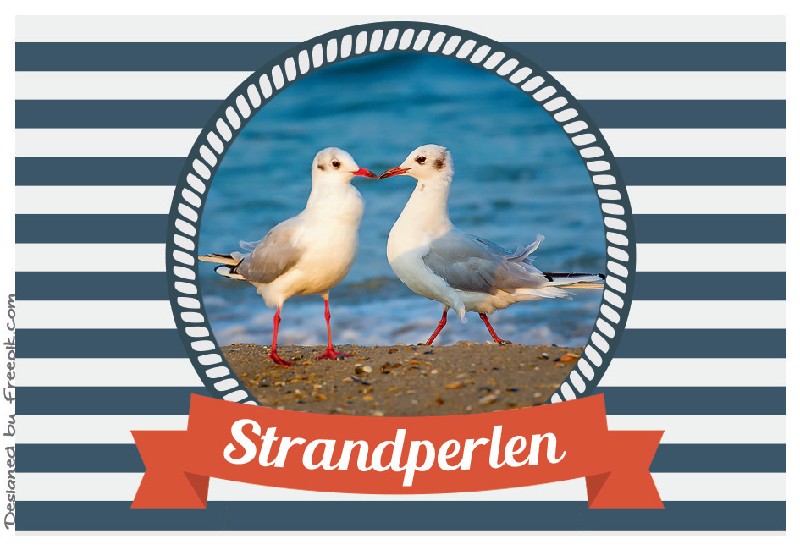 MAGN.STRANDPERLEN,MÖWEN