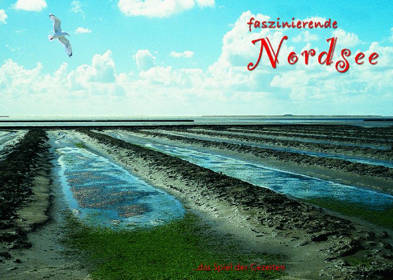 [265309] AK.NORDSEE           9012