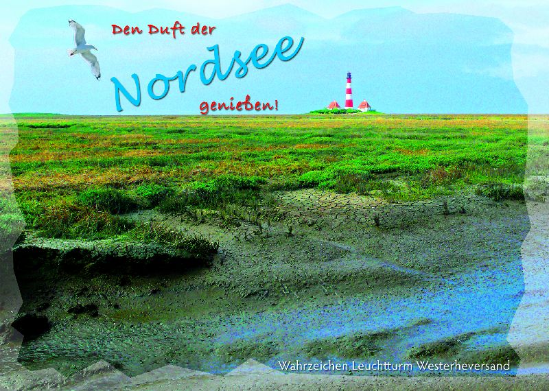 [265310] AK.NORDSEE           9013