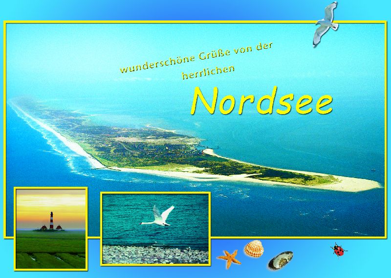[265313] AK.NORDSEE           9016