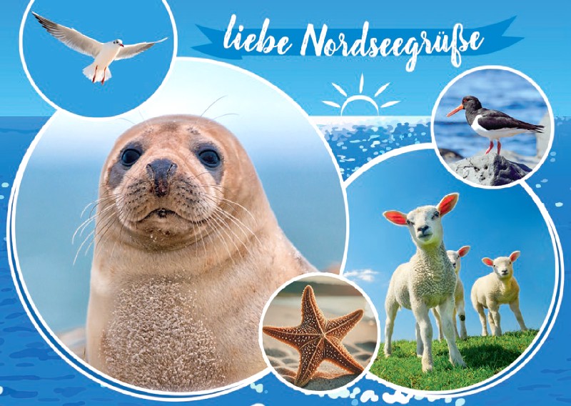 [265323] AK.LIEBE NORSEEGRÜ.NORD5