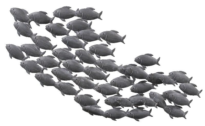 WANDDEKO,FISCHSCHWARM112C