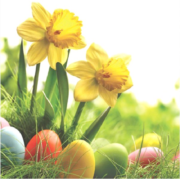SERV.33X33CM 20ER, OSTERN