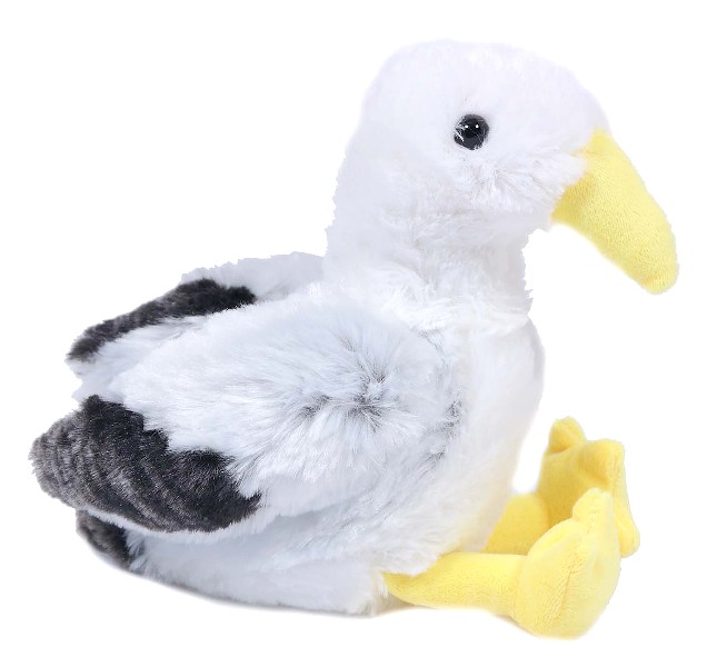 PL.MÖWE,PLÜSCH,20CM,SITZ.