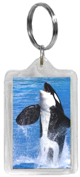 SCHL-ANH.ACRYL,ORCA