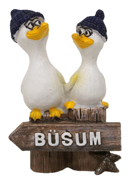 MÖWE(2)SCHILD,BÜSUM,1FA.