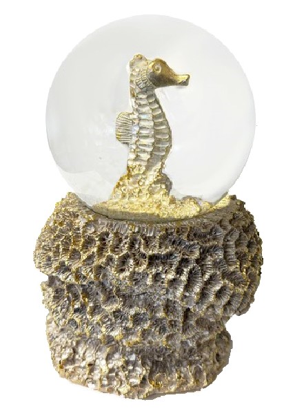 SK.SEEPFERDCHEN,9X13CMH
