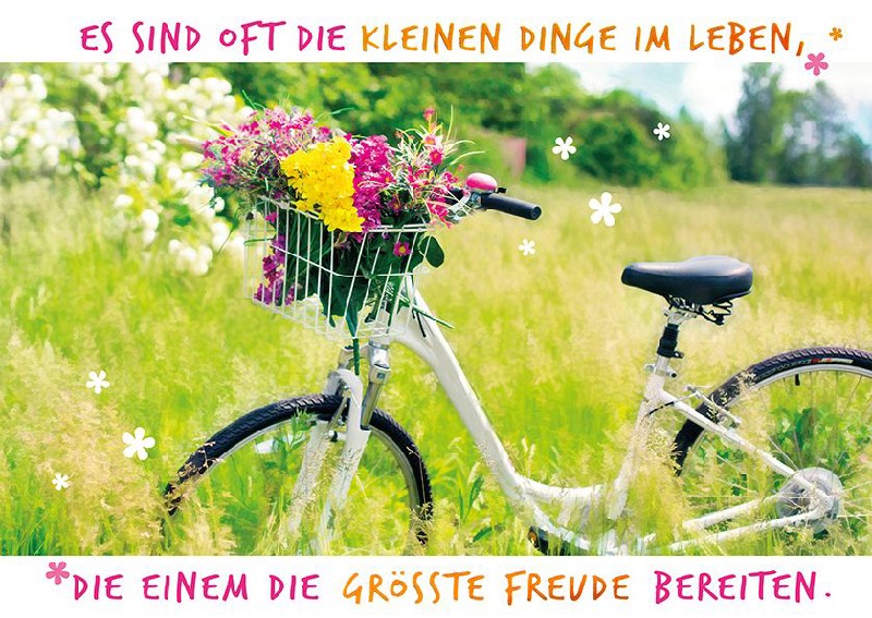 [288853] POSTKARTE FAHRRAD/WIESE