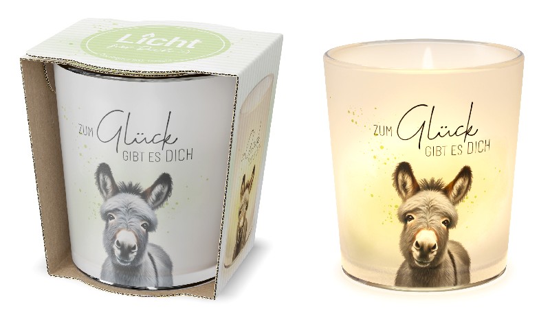 WINDLICHTGLAS,ESEL