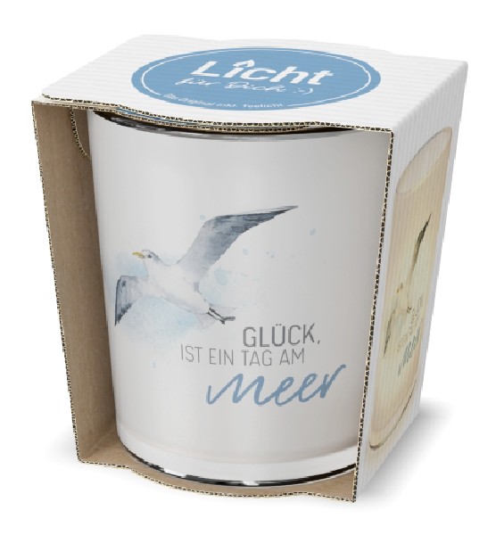 WINDLICHTGLAS,MÖWE, GLÜCK