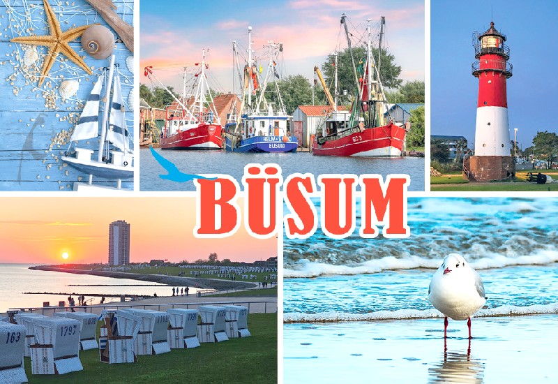 MAGN.BÜSUM,5 BILDER