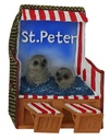 STRANDK.MAGNET,ST.PETER