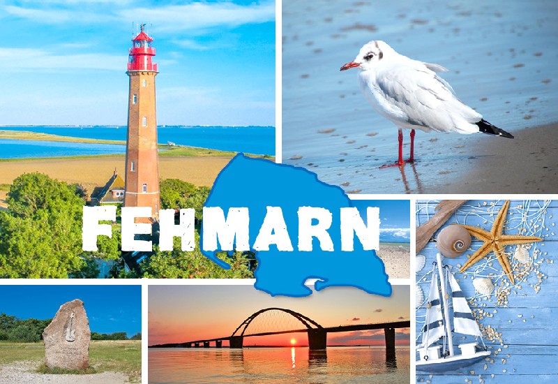 MAGN.FEHMARN,6 TLG. BILD