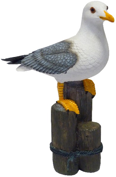 MÖWE,A.POLLER 32CM 1FA.