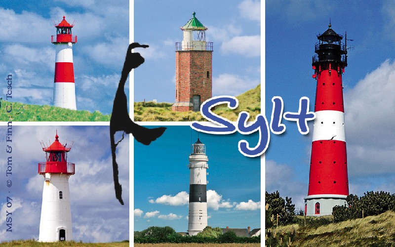 MAGN.SYLT,5LT`S,QUERFORMA