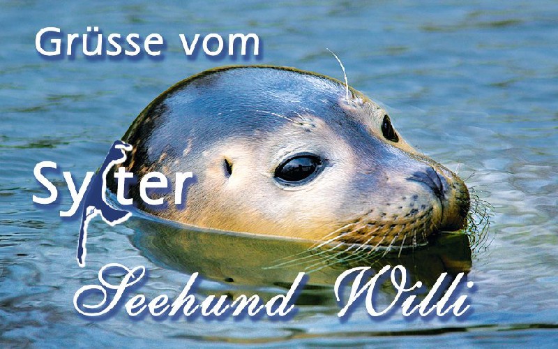 MAGN.SEEH.WILLI,SYLT
