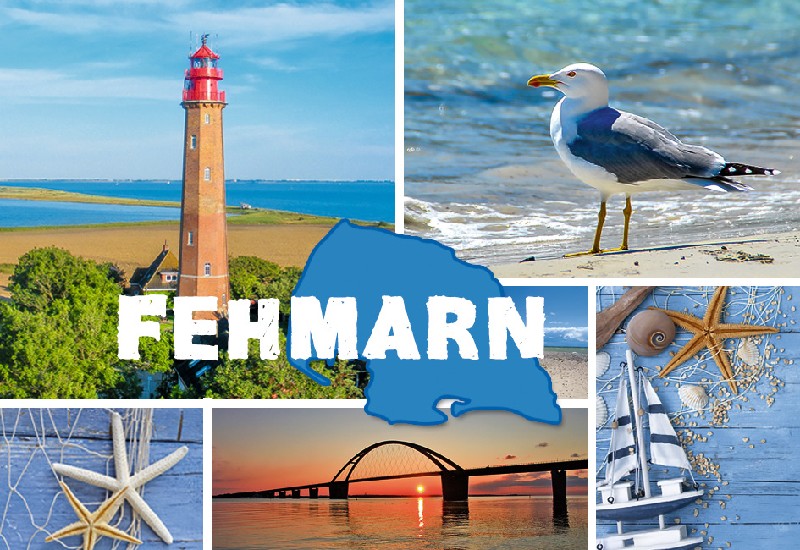 MAGN.FEHMARN,6 TLG. BILD