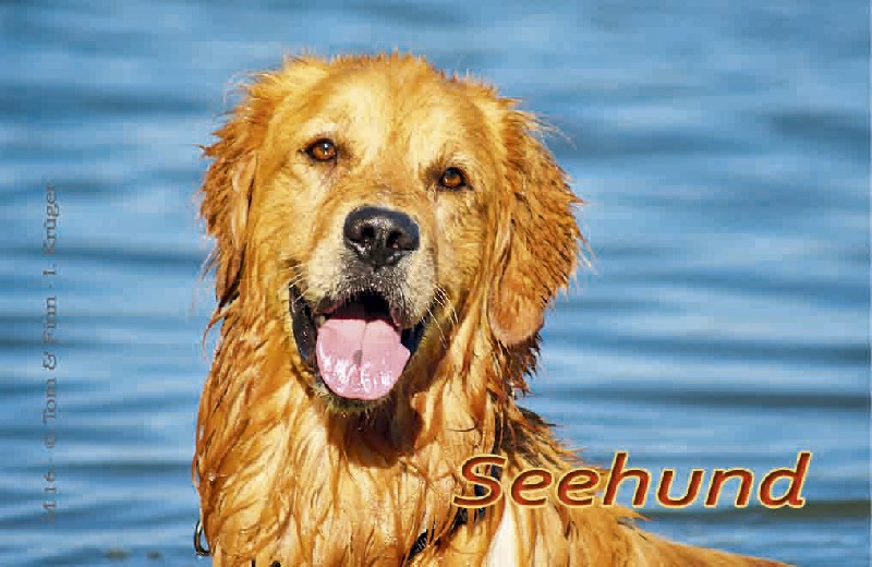 MAGN.SEE "HUND" QUERFORM.