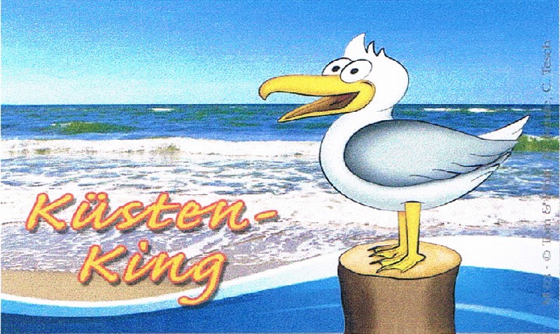 MAGN.MÖWE KÜSTEN-KING