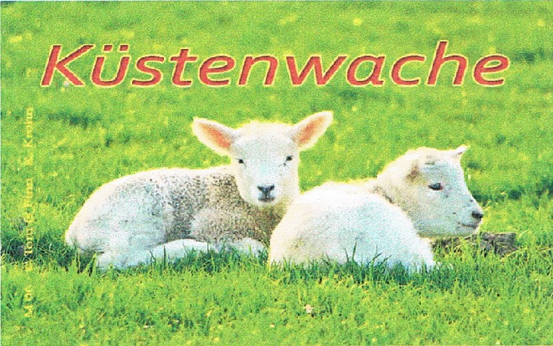 MAGN.SCHAFE KÜSTENWACHE