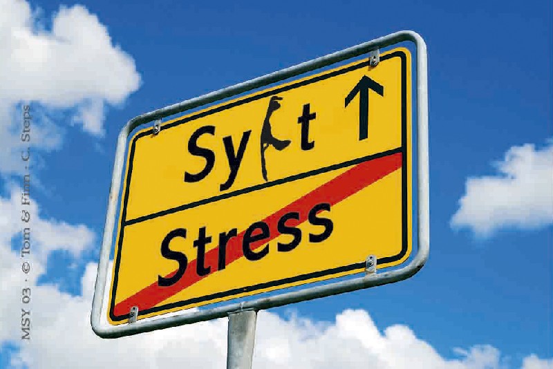 MAGN.SCHILD STRESS/SYLT