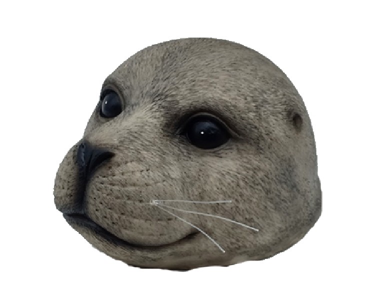 SEEHUND,GRAU,SCHWIMMEND