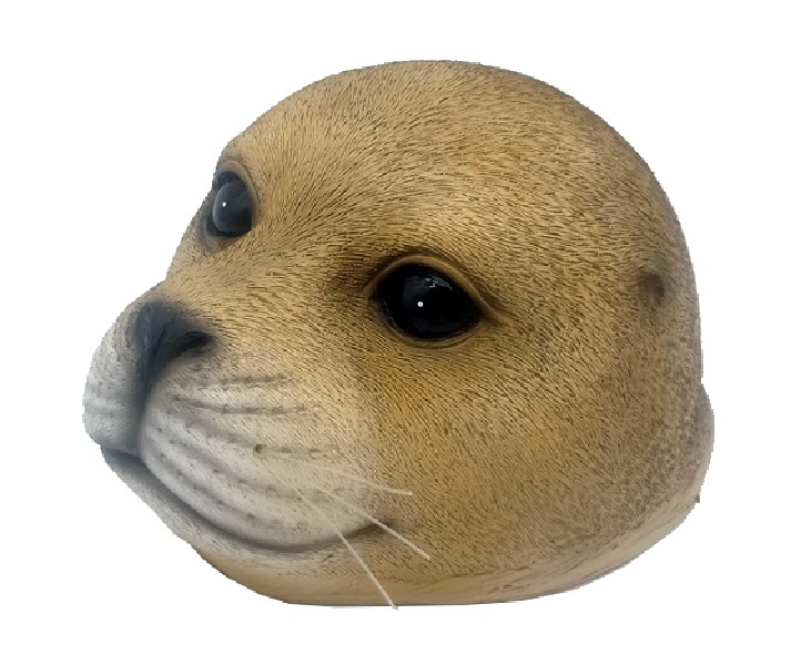 SEEHUND,BEIGE,SCHWIMMEND